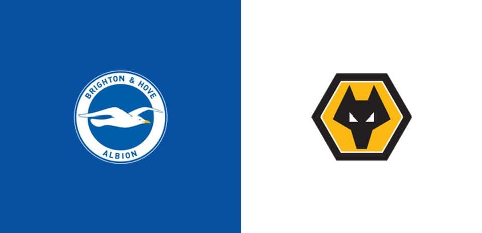 Brighton & Hove Albion and Wolverhampton logos