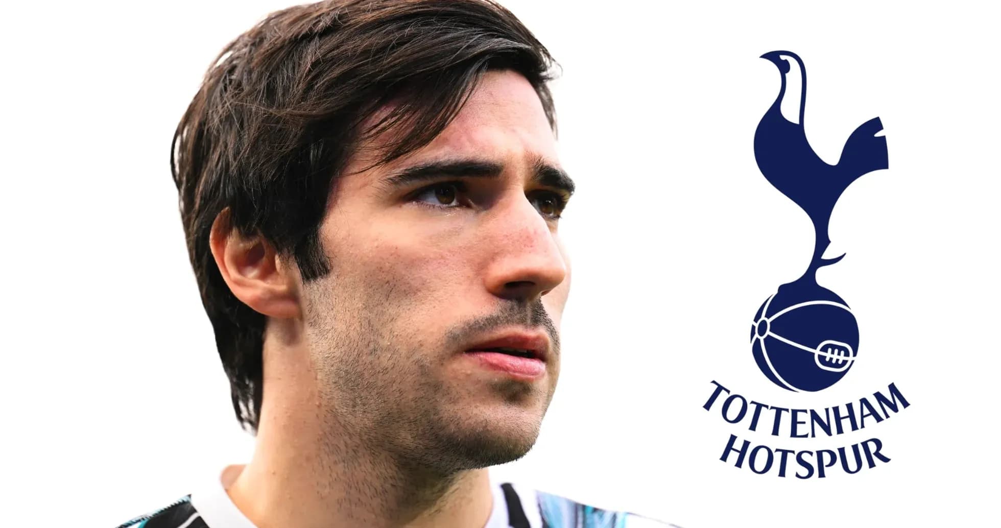 Tottenham Hotspur player portrait with club logo