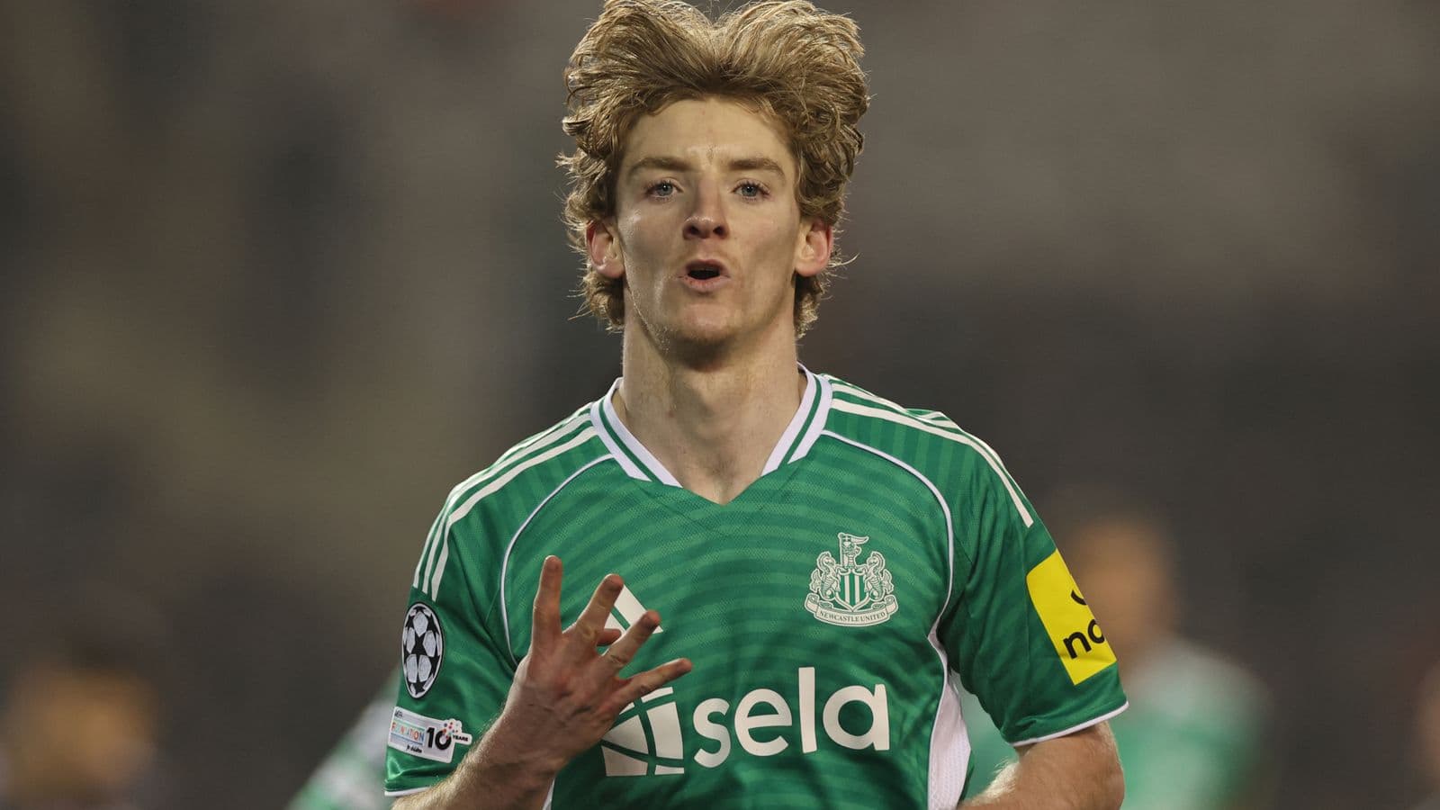 Newcastle – Qarabag UEFA Champions League 1/16 finalında