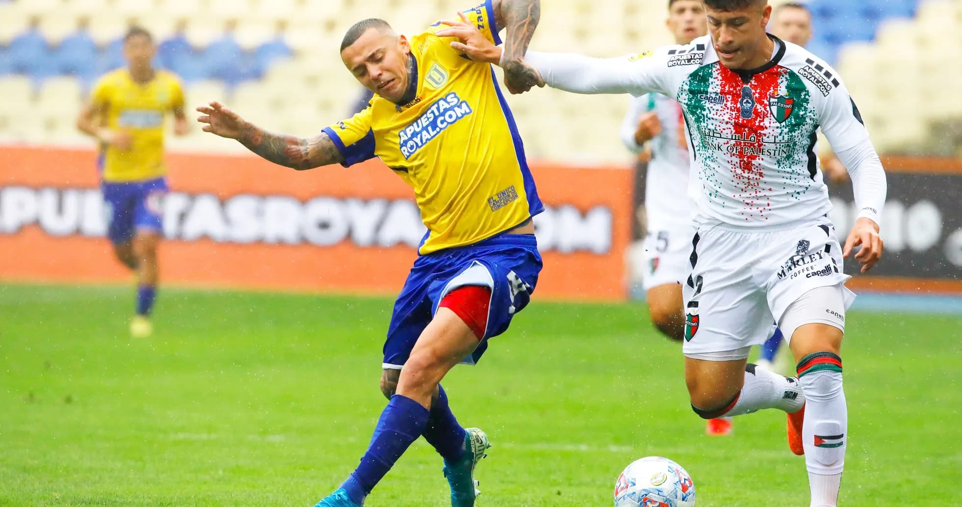 Palestino və Universidad de Concepcion oyunu