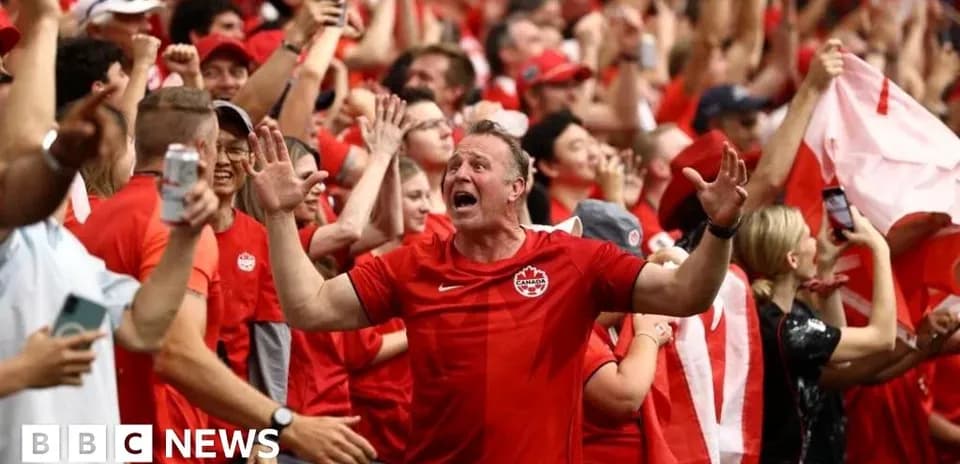 Fan celebrating in crowd during sports event