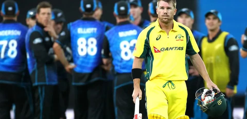 David Warner walking off field after dismissal