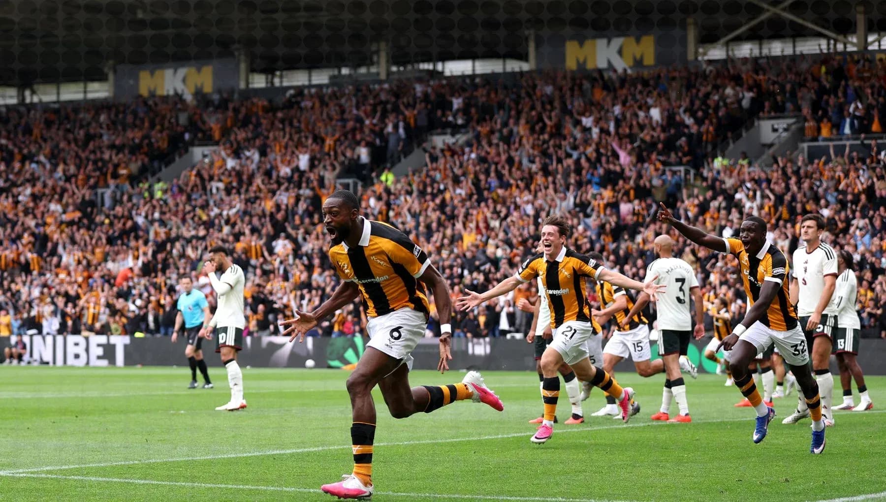 Hull City players celebrating a goal with fans