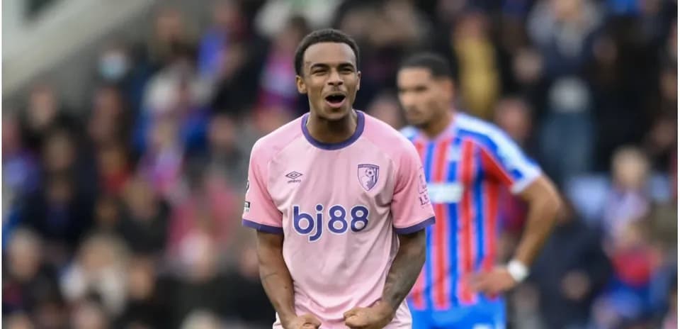 Bournemouth player celebrating during a match