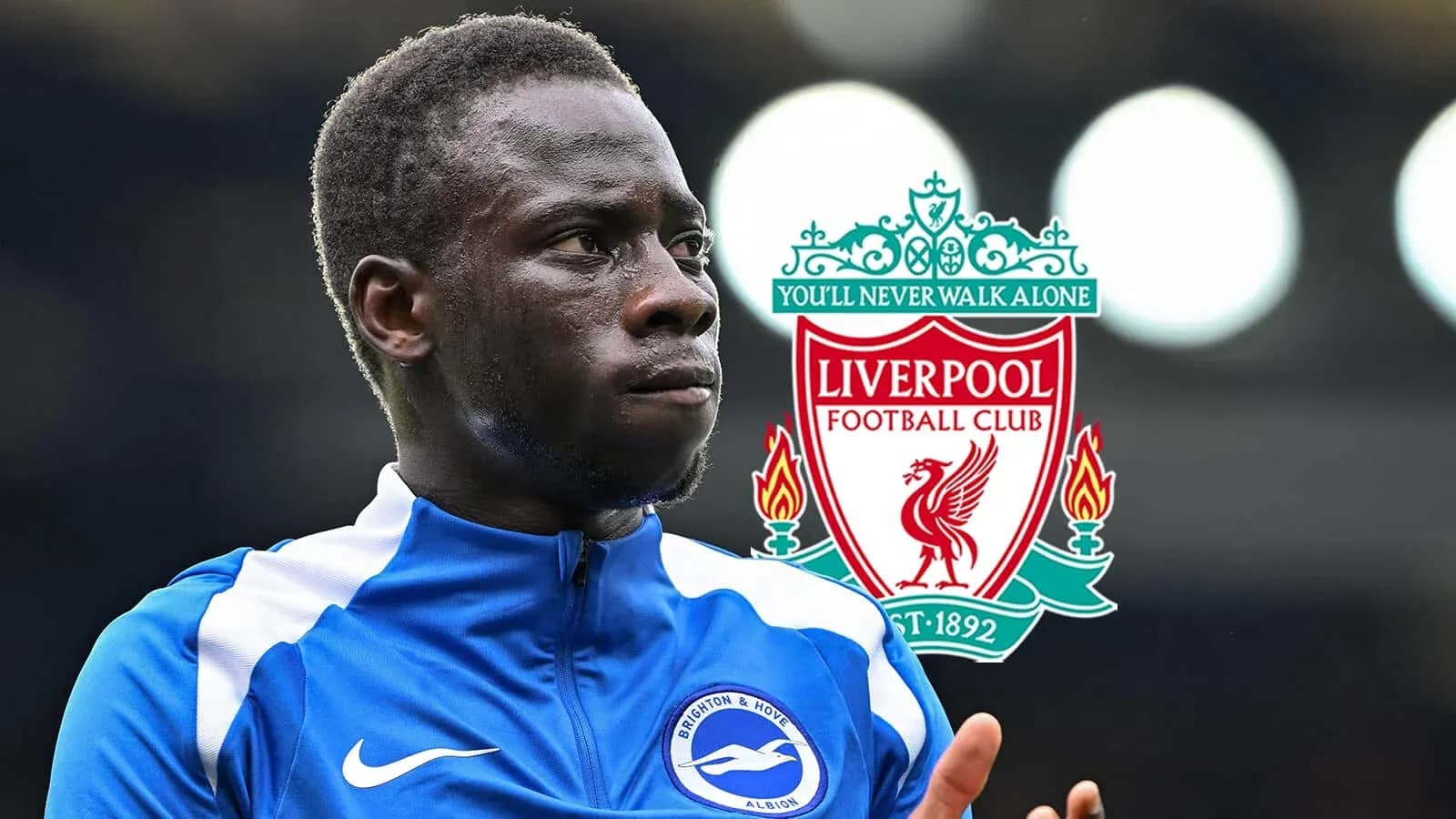 Futbolçunun Brighton formasında sahəyə çıxması Futbolçunun Brighton formasında sahəyə çıxması
