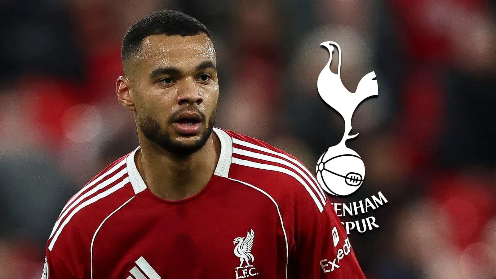 Futbolçu Liverpool forması geyinib, oyun zamanı Futbolçu Liverpool forması geyinib, oyun zamanı