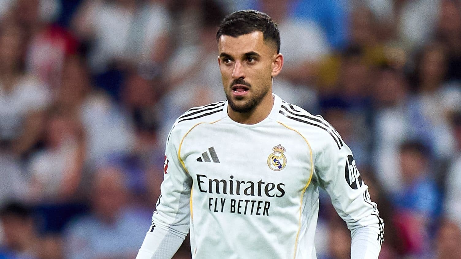 Napoli Dani Ceballos üçün Mübarizəni Gücləndirir Napoli Dani Ceballos üçün Mübarizəni Gücləndirir